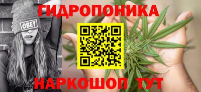 мяу мяу мука Пушкино