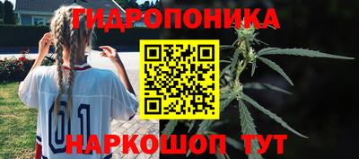 мяу мяу мука Пушкино